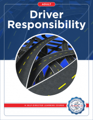 Driver-Responsibility-W-113-188x243